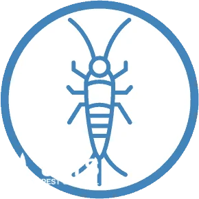 silverfish pest control services ipswich area qld 4305