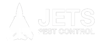 jets pest control ipswich